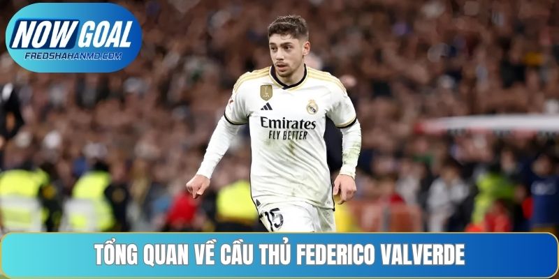 Tổng quan về cầu thủ Federico Valverde