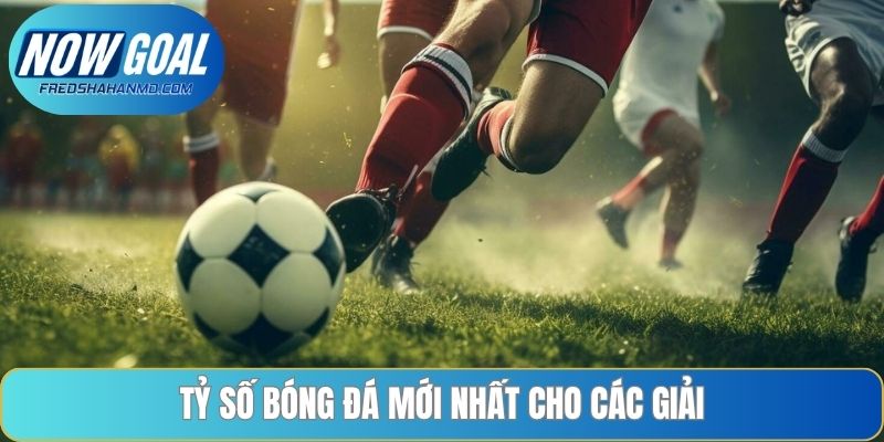 Tỷ số bóng đá mới nhất cho các giải